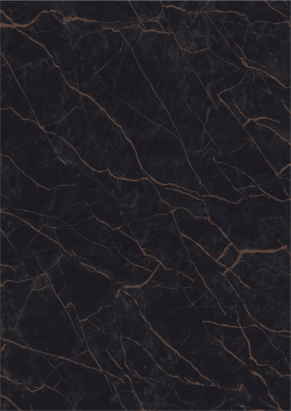 Ceramica T-One Port Laurent Mat Lastra 1.2cm - imagine 2